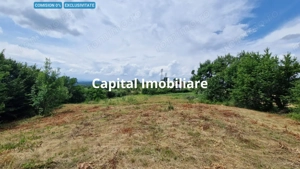 Teren Baia Sprie: 5143 mp, Parcelabil, Comision 0!