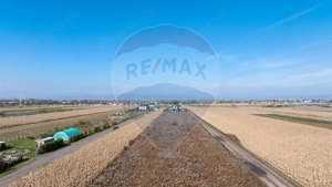 Teren Brasov -Strada Aron Pumnul, 520-1040-2600 mp, 5 loturi - imagine 5