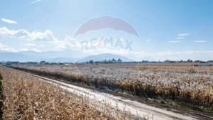 Teren Brasov -Strada Aron Pumnul, 520-1040-2600 mp, 5 loturi - imagine 4