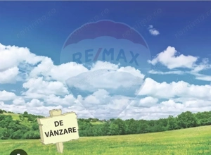 Pasune 21 ha pretabila pentru panouri fotovoltaice,impadurit - imagine 2