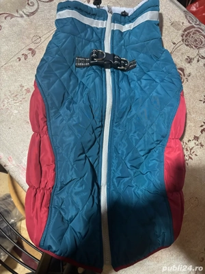 hainute groase pentru caini  - imagine 3