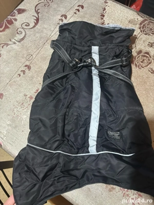 hainute groase pentru caini  - imagine 2