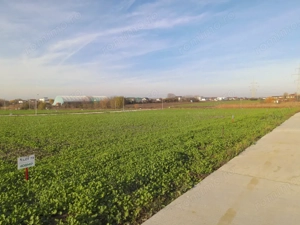 Loturi Intravilane In Rate Berceni | curent gaz asfalt iluminat | #SG1 - imagine 12