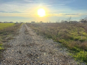 Teren Intravilan In Rate Stadion Berceni  | utilitati la strada #CG1R - imagine 6