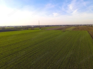 Teren Investitional 1,24 ha Com Berceni | deschidere 42ml | #CG28