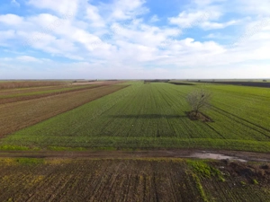 Teren Investitional 1,24 ha Com Berceni | deschidere 42ml | #CG28