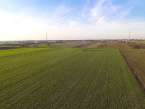Teren Investitional 1,24 ha Com Berceni | deschidere 42ml | #CG28 - imagine 7