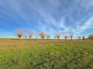 Loturi Intravilan Rate pe Lac Com Berceni | utilitati in zona | #LG14BF - imagine 17