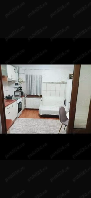 Inchiriere apartament 2 canere Rovine