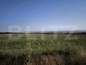 Teren 30.350 mp (600 mp intravilan) – ideal investiție, Cârcea Metro 