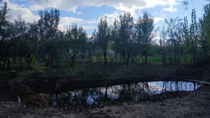 Parcela Teren Intravilan  - imagine 3