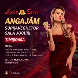 Supraveghetor sală jocuri 