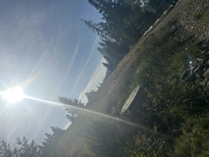 Vând teren în apropierea lacului Colibița 