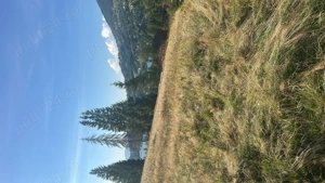 Vând teren în apropierea lacului Colibița  - imagine 3