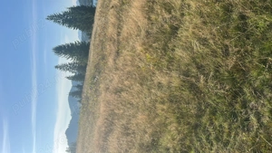 Vând teren în apropierea lacului Colibița  - imagine 2