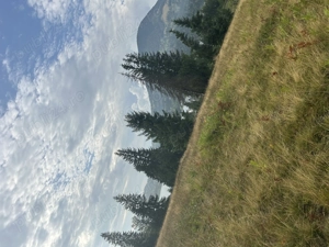 Vând teren în apropierea lacului Colibița  - imagine 4