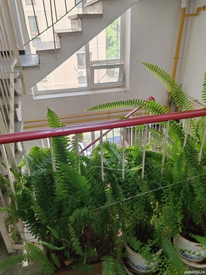 PROPRIETAR Medicină Universitate Politehnica Apartament cu 2 camere 