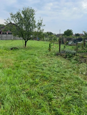 Vând teren intravilan în localitatea Seini 