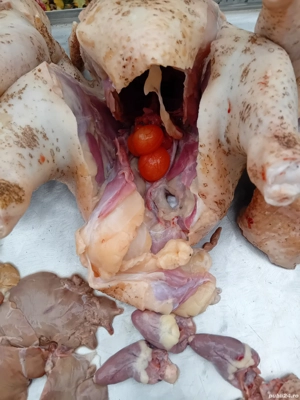 Găini cocoși carcasă  - imagine 5