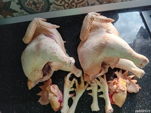 Găini cocoși carcasă 