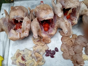 Găini cocoși carcasă  - imagine 2