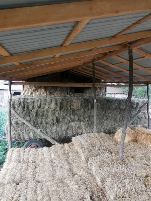 Vând baloti de fân, bună calitate 