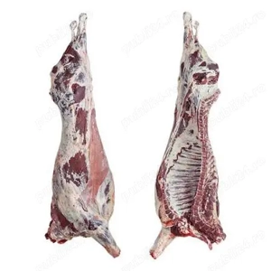 De vânzare carcasa vițel 