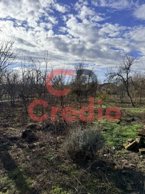 1200mp teren, casa cu 2 corpuri-asfalt, utilitati, locatie buna - imagine 17