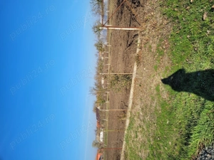 Vând teren intravilan în Sânpetru Mare jud.Timiș 