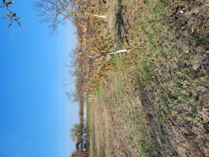 Vând teren intravilan în Sânpetru Mare jud.Timiș  - imagine 6