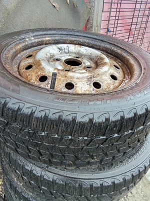 Vand roti de iarna,!