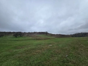 Teren  10 hectare Recea - imagine 5