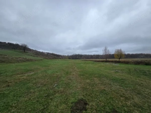 Teren  10 hectare Recea - imagine 10