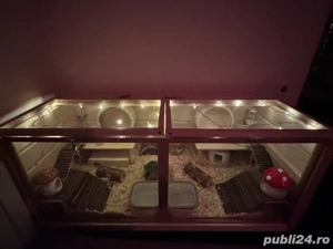 Cusca pentru hamster  - imagine 3