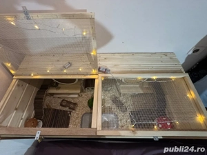 Cusca pentru hamster  - imagine 2