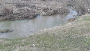 Teren 10.000 mp si casa in Stolinici Arges - imagine 3