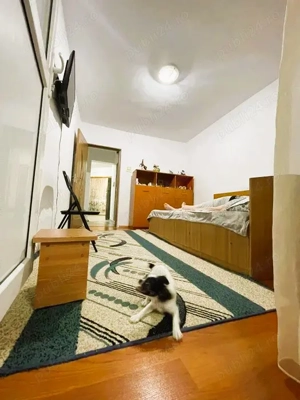 Apartament 2 camere 70mp (transformat in 3 camere ) PIATA CIVICA  - imagine 10