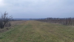 Teren 10.000 mp si casa in Stolinici Arges