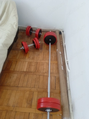 Vând halteră și gantere greutate totală 65 kg m-ai am o cutie de roti nedeteriorată preț total 500 