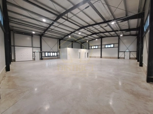 COM 0% Hale servicii, birouri și depozitare de inchiriat  | Giarmata-Vii