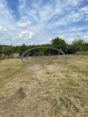 Teren intravilan generos cu utilitati si front larg in Jucu de Sus - imagine 5