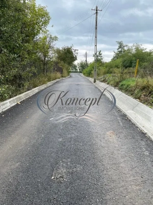 Teren intravilan generos cu utilitati si front larg in Jucu de Sus - imagine 7