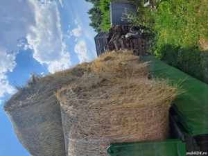 vand baloti de otava, fan si lucerna pe plasa