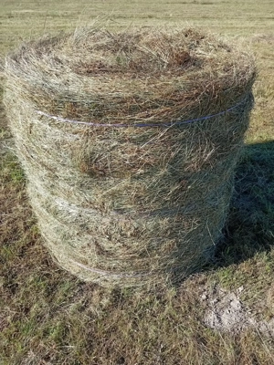 Vând baloti rotunzi de fan și de lucernă coasă 2 - imagine 3