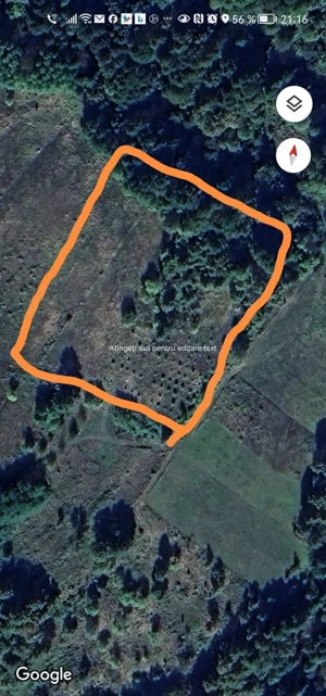 Teren extravilan cu livadă de aluni și pădure  - imagine 2