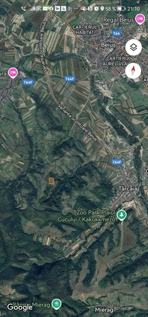 Teren extravilan cu livadă de aluni și pădure  - imagine 4