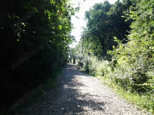 Teren de vânzare în Ciurbești