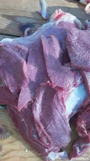 Struti vii sau carcasa  - imagine 3