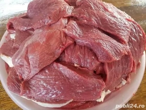 Struti vii sau carcasa  - imagine 2