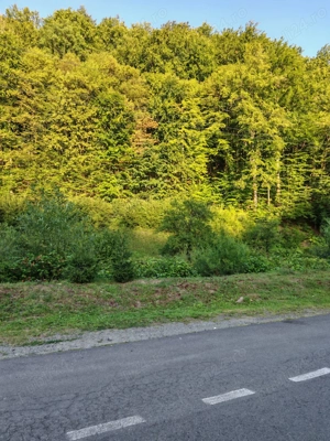 2500 e ar intravilan in Baia Mare !! - imagine 2